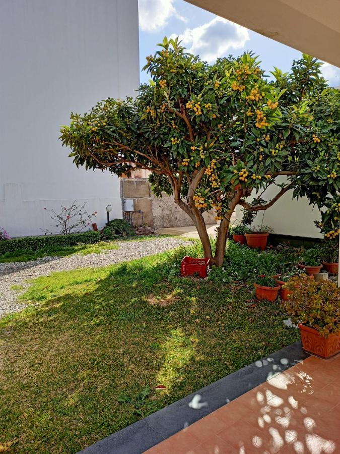 Bed and Breakfast A Nespulara Galati Marina Zewnętrze zdjęcie